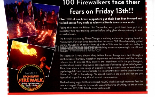 T4c Firewalk 10 Uk